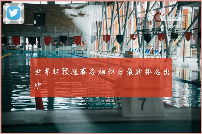 世界杯预选赛各组积分最新排名出炉
