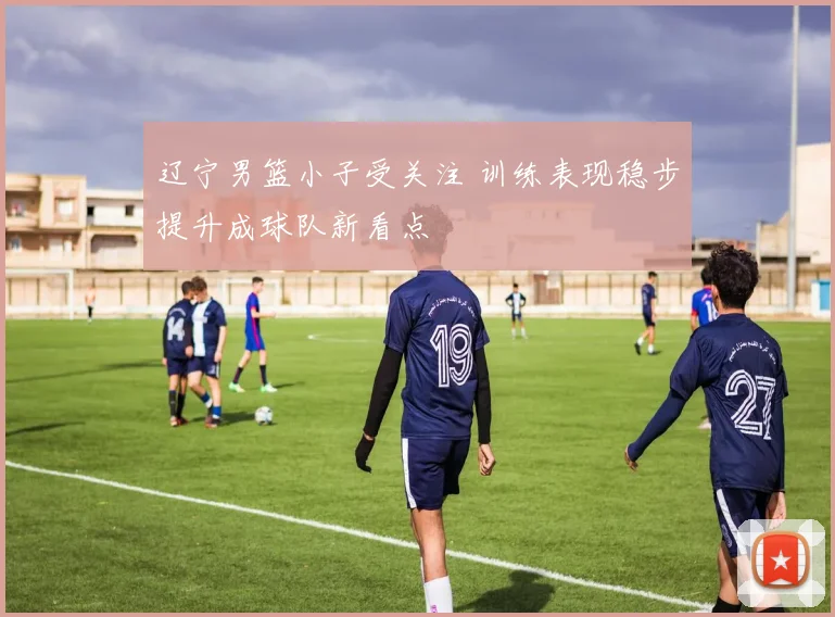 辽宁男篮小子受关注 训练表现稳步提升成球队新看点