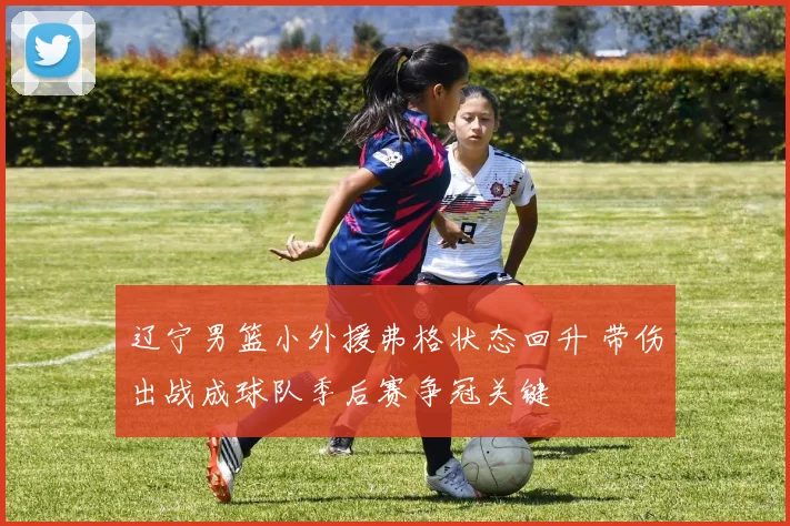 辽宁男篮小外援弗格状态回升 带伤出战成球队季后赛争冠关键