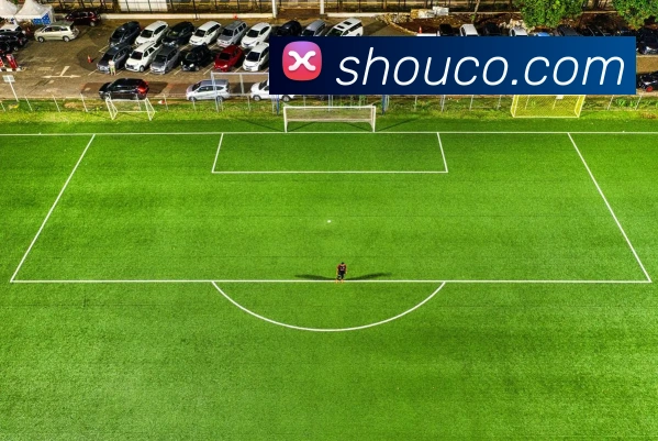 数据防护可视化